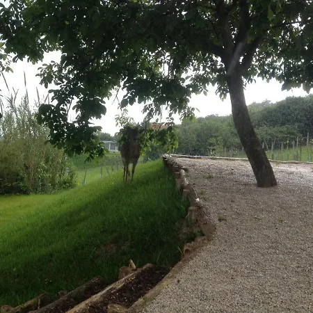 Balaton View Balatonfured