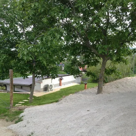 Balaton View *